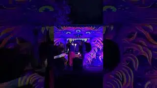 Psychedelic Trance Party Stage Decoration - Enchanted Shadows