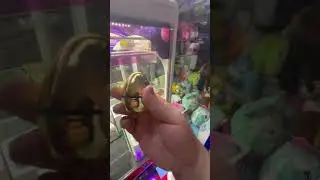 Finding The Hidden Key 🔑 #shorts #arcade #clawmachine