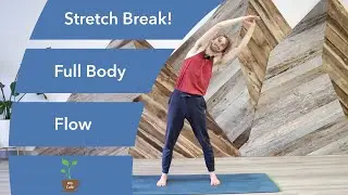 Quick Full Body Stretch Break | Less Cuing