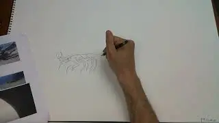 HTD PREHISTORIC UNIVERSE:PTERYGOTUS