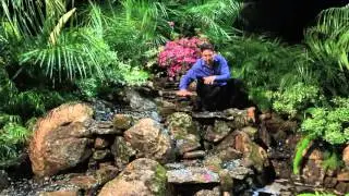 The Waterfall Guy - LARGE WATERFALL WITH POND