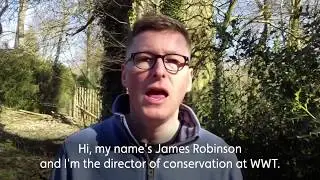 Our Director of Conservation's message to you (Subtitles)