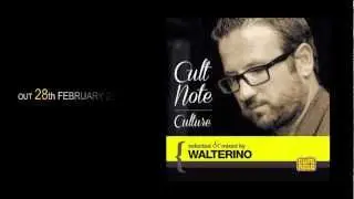 CULT NOTE CULTURE Selected & Mixed by Walterino.MP4