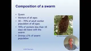 Session 1 Swarm Preparations