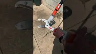 Tiger Jaw T2 Ratchet Lopper and T3 loppers