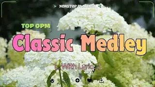 Greatest Old Love Songs 70s 80s 90s 🎶 Classic Romantic Hits Collection 2025