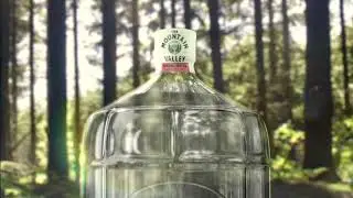 Celebrating 150 Years of Mountain Valley Spring Water