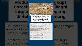 Modus Kotor Terungkap! Bareskrim Bongkar Illegal Logging Sistem Panglong di Hulu Sungai Tamiang