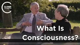Keith Ward - What Is Consciousness?