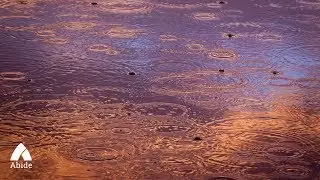 10 hours - Rain sounds for sleeping, relaxing, and meditating