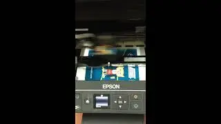 EPSON XP340 SIN CHIP, WITHOUT CHIP CHIPLESS