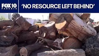 Storm-damaged trees given new life after Tempe microburst | FOX 10 Phoenix