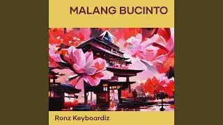 Malang Bucinto