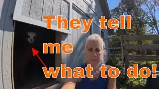 Talk to Your Pet : Secret Animal Communication Techniques