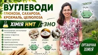 ЛАЙФХАКИ ДЛЯ ЗНО ХІМІЯ | ВУГЛЕВОДИ | ГЛЮКОЗА, САХАРОЗА, КРОХМАЛЬ, ЦЕЛЮЛОЗА