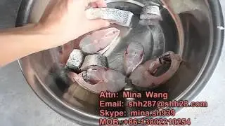 SH 30 Fish cutting machine, fish dicing, dice machine