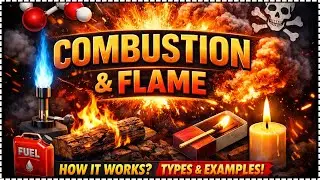 COMBUSTION  AND FLAME | ONE SHOT | HINGLISH | THE ELEVATED LEARNING
