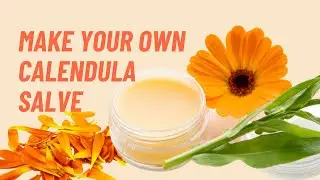 How to Make Calendula Salve | DIY Healing Balm for Dry Skin & Cuts