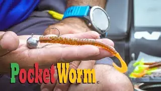 Target Baits  - Pocket Worm