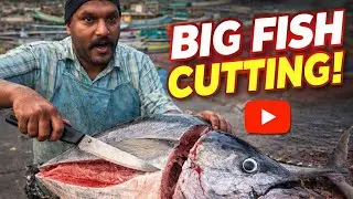BIG TUNA FISH CUTTING 🔥&bull; VIBE STYLE FISH CUTTING SKILLS 