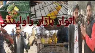 Rawalpindi Sunday birds market||new update Sunday market Rawalpindi in Urdu / Hindi