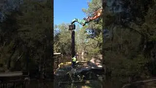 Sheet pile for bridge Mallory swamp