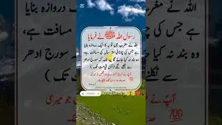 #hades #quots #quiz #shorts #urdu