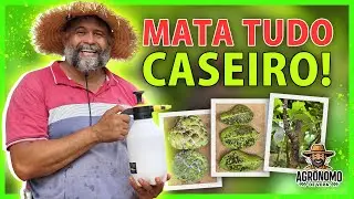 Mata PULG&Atilde;O, cochonilhas, LAGASTAS, &aacute;caros, FORMIGAS, mosca branca, TUDO