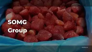 Manufacturing IQF Frozen Fruits and Vegetables