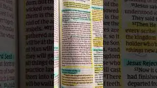 Parable of the Wheat and Tares Explained by Jesus himself!
