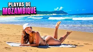 NADÉ CON DELFINES libres en esta PLAYA | Punta de Oro Mozambique
