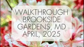 Walkthrough Brookside Gardens (Wheaton, Maryland, USA)