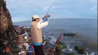 Spot Ajib Di Sekitaran ANCOL II  SERO MUARA BARU II  Strike Action
