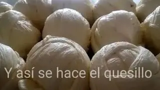 Elaboración industrial del quesillo