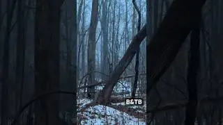 Bigfoot Arch with a tree through the middle. 1-2024 Daily route