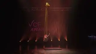 VCFA Competition 2025- Aerial Hammock