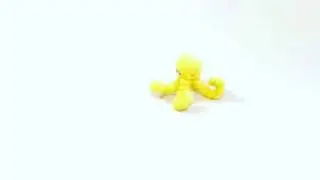 Washagami Octopus