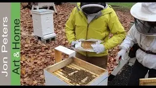How to Feed Bees in Winter & Fall Garden Review