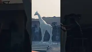 giraffe sculpting on going#sculpture #youtubeshorts #artworkshort #sculpture #artlovers #art
