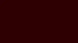 Deep Burgundy (#340100) – 10 Minutes Background