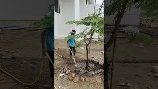 banglows and garden works #landscapegardening #gardendesign #bangla #gardenideas