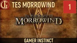 ПРОХОЖДЕНИЕ MORROWIND | ЧАСТЬ 1 - СЕЙДА НИН