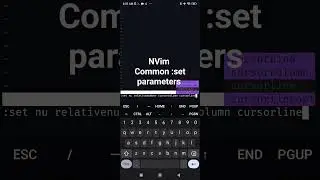 #nvim #vim :set parameters