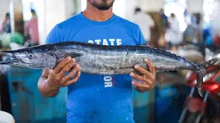 Amazing Barracuda Fish Cutting Skills The Best In The World