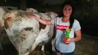 Gazdász Szépe 2019 döntőse- Hegyesi Katalin