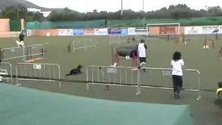CAREA LEON&Eacute;S 33.  AGILITY.   De Grado I a Grado II