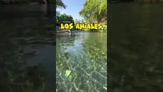 Los Amiales, Colima Mexico #colima #colimamexico 2023 vacaciones