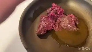 Squirrel hunting (fail) deer Catch clean cook