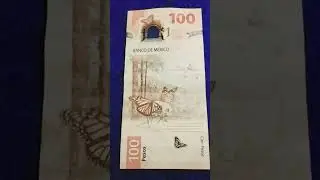 🤔Que es la NOTAFILIA❓  