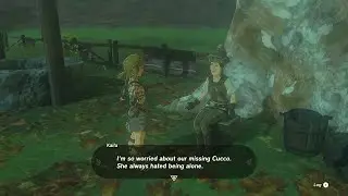 The Zelda Totk devs didn't think you'd save the cucco